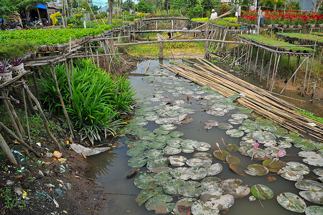 Dong Thap Muoi, Dong Thap province