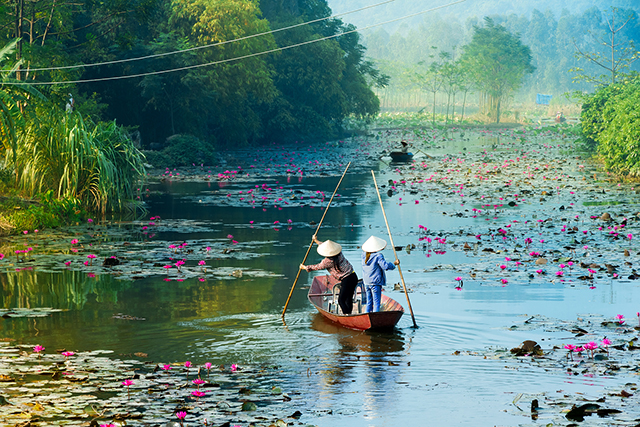 “Mam” has become a part in Vietnamese people’s mind.