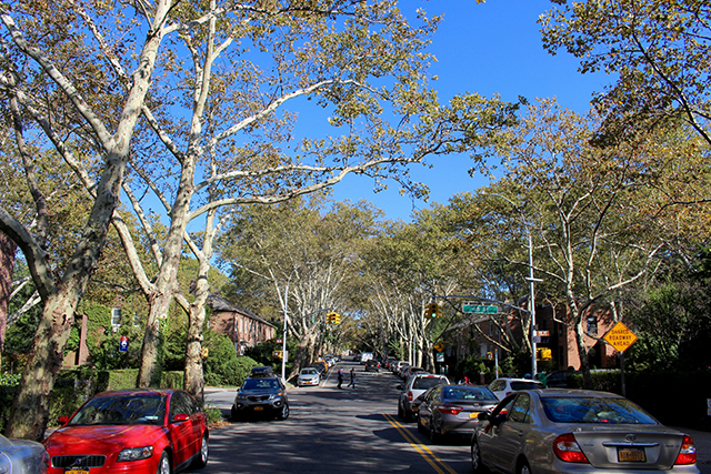 マンハッタンの隣、文字通り日当たりの良い住宅地サニーサイド