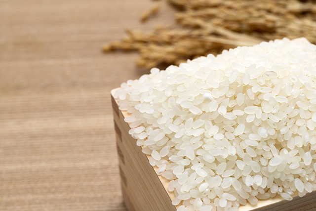 お米は日本の食文化のすべてのはじまり