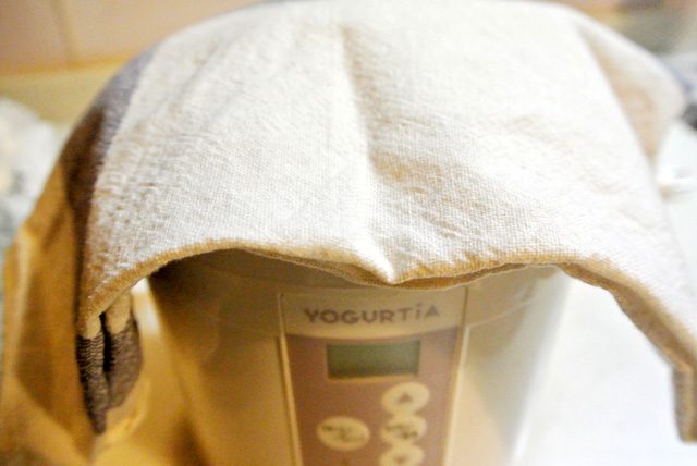 発酵熱でできる水滴が入らないように一番上の蓋をする前に布巾を挟んでおこう