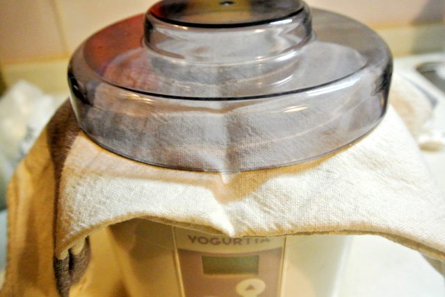 発酵熱でできる水滴が入らないように一番上の蓋をする前に布巾を挟んでおこう