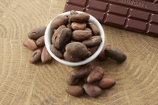 チョコレートは発酵食品