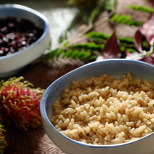 Vietnamese traditional food, com ruou or fermented glutinous rice for may 5th, is double five festival or tet doan ngo in Vietnam