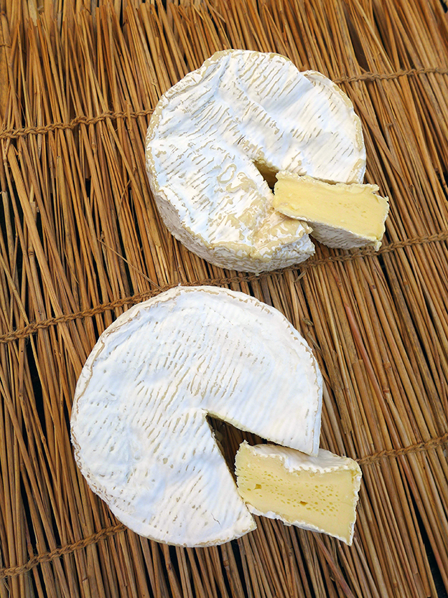 中身までクリーム状になった完熟状態（上）と、石膏状の中心部が無くなった直後のチーズ（下）の熟成の差は10日