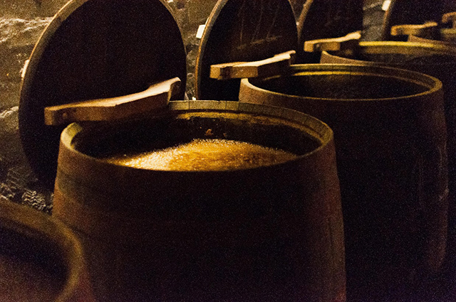 Barrels with Moromi from last week in Moromi chamber