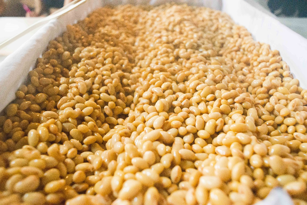 Steamed soybeans