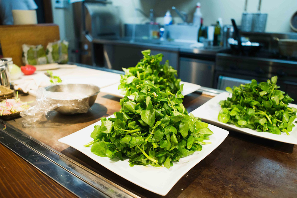 A mountain salad of wild watercress