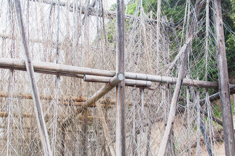 “three-dimensional salt field” hanging bamboo upside down.