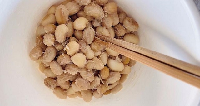 立夏の発酵レシピ「手作り納豆」の作り方　発酵後のようす