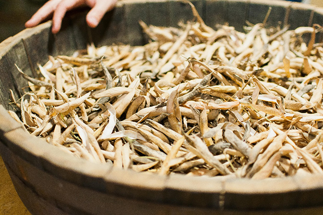 Dried soybeans