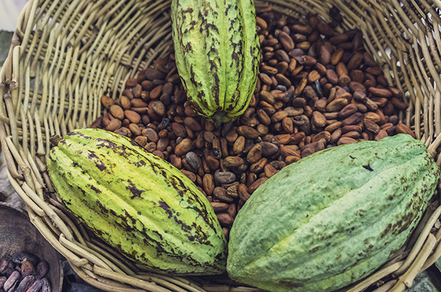 カカオ豆の原産国、チョコレート発祥の国「メキシコ」